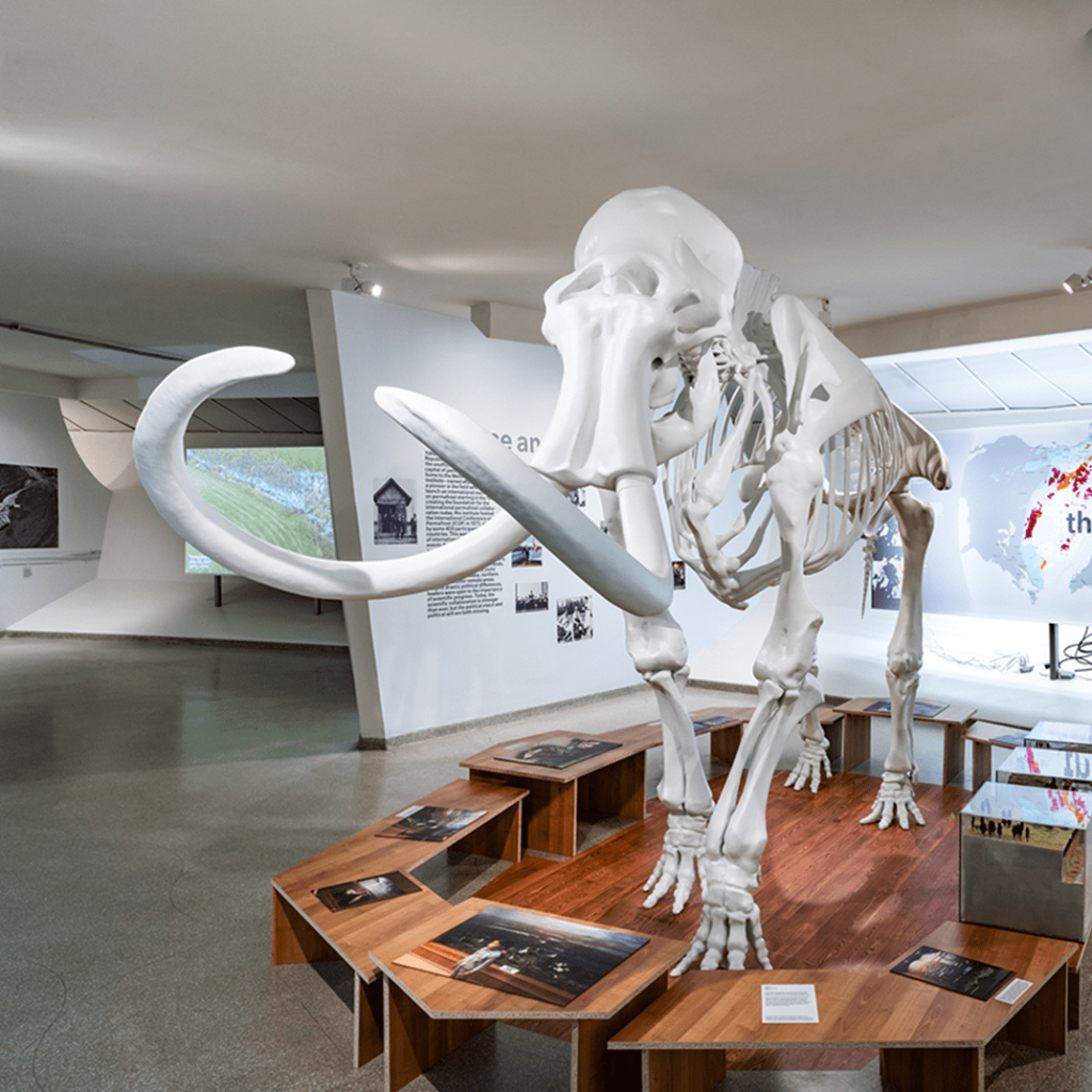 (XXL) 3D-objecten - Mammoet museum | 3D Next Level - Creative - Branche: Pretparken & musea