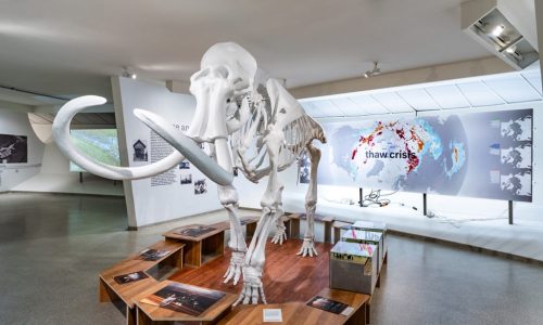 3D-geprint mammoetskelet | 3D Next Level - Creative - Musea