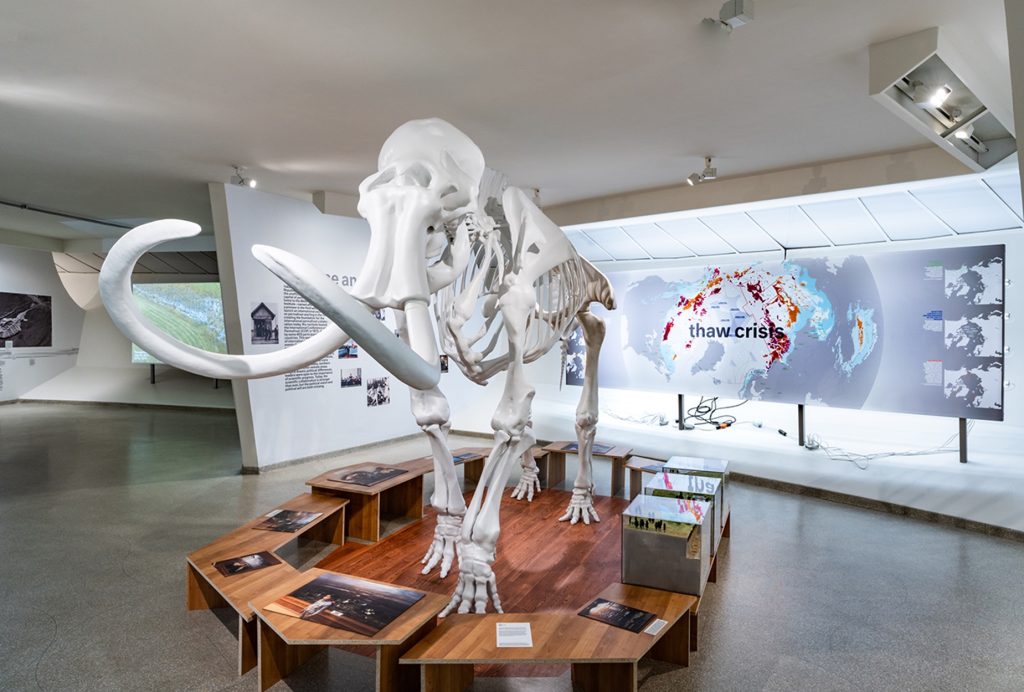 3D-geprint mammoetskelet | 3D Next Level - Creative - Musea